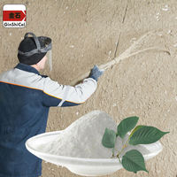 HPMC Hydroxypropylméthylcellulose : Épaississant pour formules de décapants de peinture et de revêtements, pour mortier et revêtements