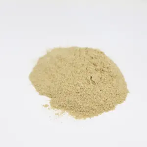 Supply Natural High Protein Soybean Extract Powder