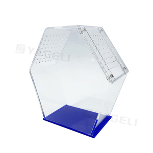 Yageli Chine usine Offre Spéciale personnalisé clair en forme d'hexagone acrylique Reptile Tarentule Juping Araignée boîtier avec couvercle magnétique - Product Image 5