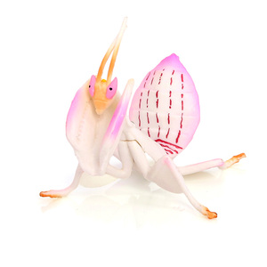 بالجملة مجسمات السحلية الصلبة محاكاة الحشرات PVC أشكال Mantis - Product Image 1
