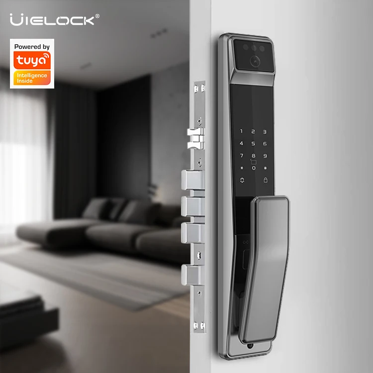 Fully Automatic Remote Unlocking TUYA WiFi Facial Recognition Fingerprint Password Smart Lock with QB40 Mortise for Wood Door · image 3