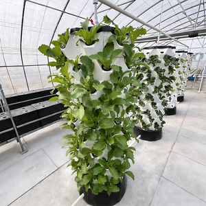 2025 nuevo producto gran planta de granja hidropónica fábrica inteligente LED sistema hidropónico con Motor bomba hidropónica Vertical - Product Image 3