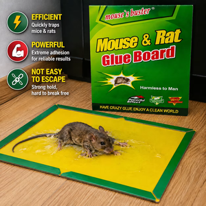 Piège à souris pliable à colle, appât parfumé aux cacahuètes, planche collante pour rats, adhésif haute résistance, <span class=keywords><strong>attrape</strong></span>-rongeurs pour la maison et l'entrepôt - Product Image 4