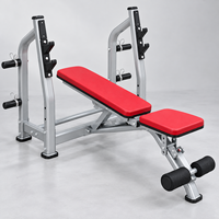 Rak Bench Press Besi Multifungsi Profesional Lipat untuk Barbell, Peralatan Fitness Gym, Penggunaan Rumah & Komersial