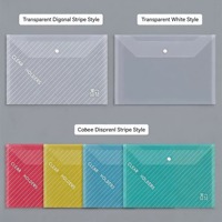 Porte-documents A4 robuste avec bouton-pression, pochette de classement personnalisable, organiseur transparent