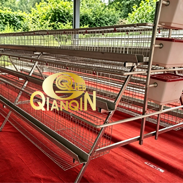 Hot Sale Hot Dip Galvanized a Type Layer Chicken Cage for Commercial Poultry Farm