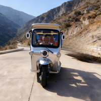 Tricycle standard L5e entièrement équipé pour la montée en pente avec contrôleur haute puissance et haute efficacité, homologué pour la route