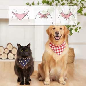 בנדנה משולשת רכה ונושמת לחיות מחמד עם לוגו בהתאמה אישית, עשויה פוליאסטר, מתאימה לפעילויות חוץ ומתנה נהדרת. - Product Image 3