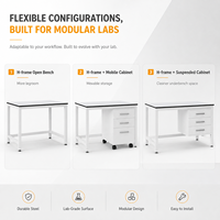 Système de mobilier de laboratoire en H personnalisé pour projets de laboratoire évolutifs avec rangement modulaire et plan de travail résistant aux produits chimiques