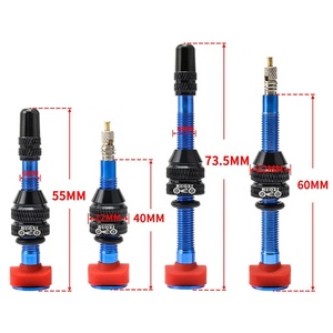 MUQZI-<span class=keywords><strong>Kit</strong></span> de <span class=keywords><strong>Valve</strong></span> <span class=keywords><strong>Tubeless</strong></span>, Bande de Pneu, 40/60mm, <span class=keywords><strong>Valve</strong></span> Française Presta - Product Image 6