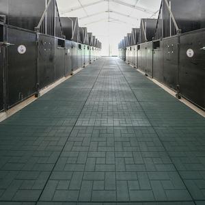 Alfombrillas Antideslizantes para Establos de Caballos de EPDM, 15 mm de Grosor, Baldosas para Piso de Exteriores, Venta al por Mayor, para Cría de Animales, Vacas y Caballos - Product Image 5