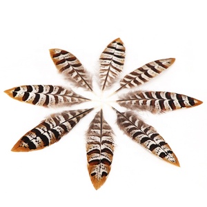 Piume Naturali Lavate Marroni di Piccolo Formato 10-15cm di Fagiano Reeves per Gioielli Fai da Te - Ingrosso Fabbrica Yiwu International Trade City - Product Image 2