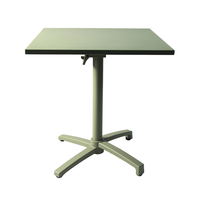 Table pliante d'extérieur légère en aluminium Lifepursue avec poignée de transport