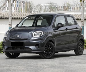 <span class=keywords><strong>2023</strong></span> nuevo vehículo de energía más <span class=keywords><strong>barato</strong></span> Leapmotor T03 Minicar 310KM EV <span class=keywords><strong>coche</strong></span> eléctrico - Product Image 4