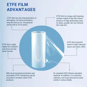 좋은 품질 태양 Etfe/ectfe 명확한 취재 플림 꽃 폴리 Etfe 온실 필름