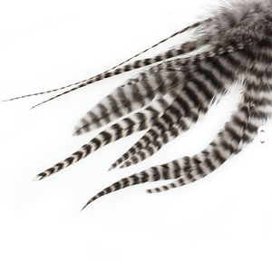 Plumas naturales de gallo Grizzly para atado de moscas, material DIY para streamers, <span class=keywords><strong>ninfas</strong></span> y moscas húmedas, 10 unidades/bolsa - Product Image 4