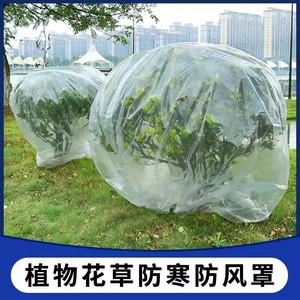 Transparent Pe Frost Protection Bag For Outdoor Plants Flower Pots Winter Garden Use - Product Image 5