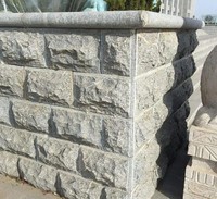 Panneaux muraux modernes et élégants en placage de granit 3D en forme de champignon, imperméables, écologiques et durables pour la décoration des cours et des façades de villas