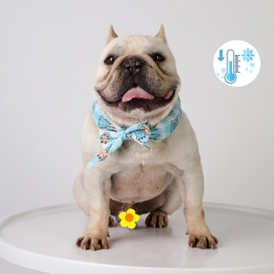 Envoltório para cachorro reutilizável, bandana gelo e acessórios legais para animais de estimação, envoltório para cachorro na moda, gola de resfriamento - Product Image 1