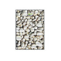 Cage en pierre de treillis métallique de jardin de mur de soutènement de gabion de conception populaire de JHY