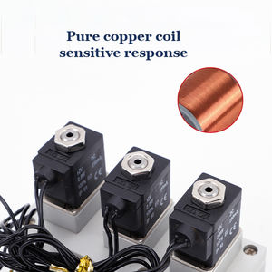 Gran oferta, válvula concentradora de oxígeno, válvula de diafragma DC12V DC24V 5L, válvula solenoide generadora de oxígeno - Product Image 4