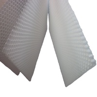Service de découpe et de traitement de panneaux solaires en nid d'abeille en plastique transparent multicouche PP6 personnalisable, échantillon gratuit disponible