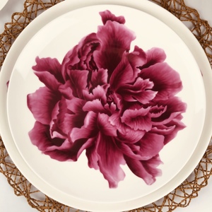 <span class=keywords><strong>Besta</strong></span>-Conjunto de platos de cena de boda, elegante, de hueso de rosa, china - Product Image 3