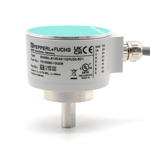 Encodeur rotatif incrémental Pepperl+Fuchs ENI58IL-S10CA5-1024UD2-RC1 à montage sur arbre avec câbles de connexion - Product Image 4