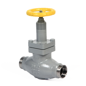 Bộ Phận Làm Lạnh Van Chặn Amoniac - Product Image 3