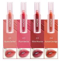 Brillo Labial Líquido con Efecto Niebla de Agua, Certificado por BPOM y HALAL, Hecho en Indonesia, Larga Duración, Doble Textura, para Maquillaje Diario