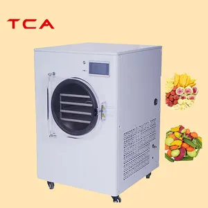 TCA small food freeze dry dehydrator machine small vacuum lyophilizer small lyophilizer