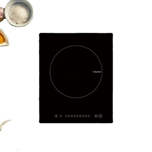 เตาแม่เหล็กไฟฟ้า 120V ทำความสะอาดง่ายสำหรับอพาร์ตเมนต์ - Product Image 4