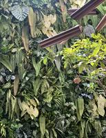 Mur végétal artificiel, Mur végétal vert, Tapis d'herbe, Décoration murale intérieure, Pelouse verte, Mur de fond en fausses fleurs en plastique