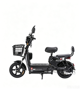 Mass Production Cheap Price Shockproof Comfort Backrest High Bright LED Headlight Anti Rust Metal Basket City Use E-Bike LY-S25 - Product Image 5