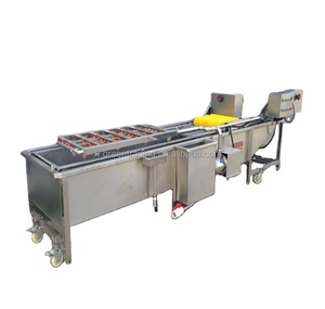 500กิโลกรัม/ชั่วโมงเครื่องทำน้ำผักกระเจี๊ยบเขียวเครื่องซักผ้าทำจากสแตนเลสเครื่องล้างผักและอบแห้ง - Product Image 1