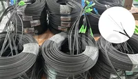 Kabel Drop FTTH Indoor 1F 2F 4F G.657A1/G.657A2 dengan Jaket LSZH, Panjang 500m/drum, 1000m/drum, 2000m/drum untuk Patchcord FTTH Telekomunikasi