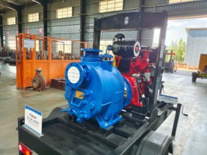 Pompes auto-amorçantes de référence pour l'industrie minière, durables et efficaces pour le transfert d'eaux usées et de boue - Product Image 1