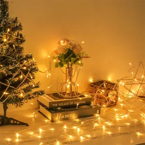 户外防水灯串圣诞装饰发光二极管灯串节日婚礼室内透明黑色选择发光派对