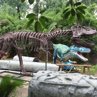 Squelette de dinosaure T-Rex simulé grandeur nature en fibre de verre pour parc à thème, exposition muséale et décoration préhistorique extérieure