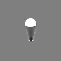 Ampoules LED d'urgence en panne de courant portable de haute qualité E27 B22 10W 12W 15W pour le camping en plein air et le marketing de nuit