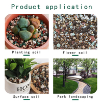 Fabricant professionnel de pierres arc-en-ciel, mélange de minéraux pour plantes d'aquarium et substrat de galets pour plantes succulentes