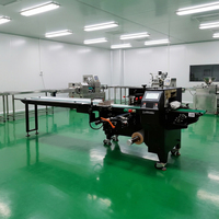 SZ-350 30-120 Beutel/min Horizontale Automatische Snack-Verpackungsmaschine für kommerzielle Lebensmittel, Kartoffelchips-Beutelverpackungsmaschine