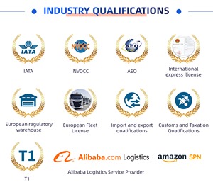 Самая дешевая логистическая доставка, доставка, курьерская служба Amazon до двери, Франция, воздушный морской экспресс, грузовой агент, китайский экспедитор - Product Image 3