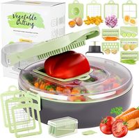 Heetst verkopende 9-in-1 multifunctionele ABS+roestvrijstalen plastic rasp fruit ui snijder/dicer handmatige salade snijder groente