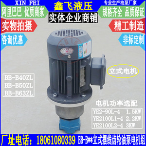 BB-B40ZL B50ZL B63ZL Vertical Cycloidal Gear <b>Oil</b> Pump Motor Unit YE2100L1-4 2.2 for Oilfield Pumping - Product Image 1
