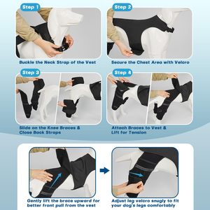 Supporto per Ginocchio Canino, Tutore Regolabile per Zampa Posteriore con 4 Stabilizzatori Metallici per Lesioni al LCA e CCL, Aiuta a Contenere la Rotazione della <span class=keywords><strong>Rotula</strong></span> - Product Image 2