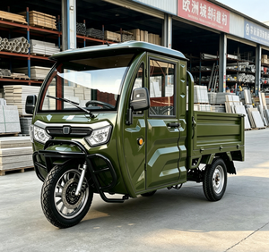 <span class=keywords><strong>Tricycle</strong></span> Électrique Cabine 3 Roues 2000W 3000W Robuste Semi-fermé pour le Transport de Marchandises Stock UE - Product Image 2