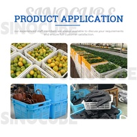 Sinocube, nouveau matériau, conteneur en plastique recyclable pour fruits et légumes, panier de récolte ventilé pour aliments, pour usage industriel