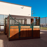 Robuster Innen-Pferdestall mit Verzinktem Stahlrahmen und Korrosionsbeständigen Bambus-Füllplatten, Professioneller Reitsport-Stall