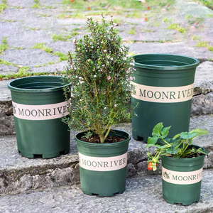 Vente en gros de fournitures de pépinière bon marché Petits pots de jardinière de jardin en plastique durable de 1 gallon Conteneur de départ de graines vertes <span class=keywords><strong>pour</strong></span> un usage domestique - Product Image 5
